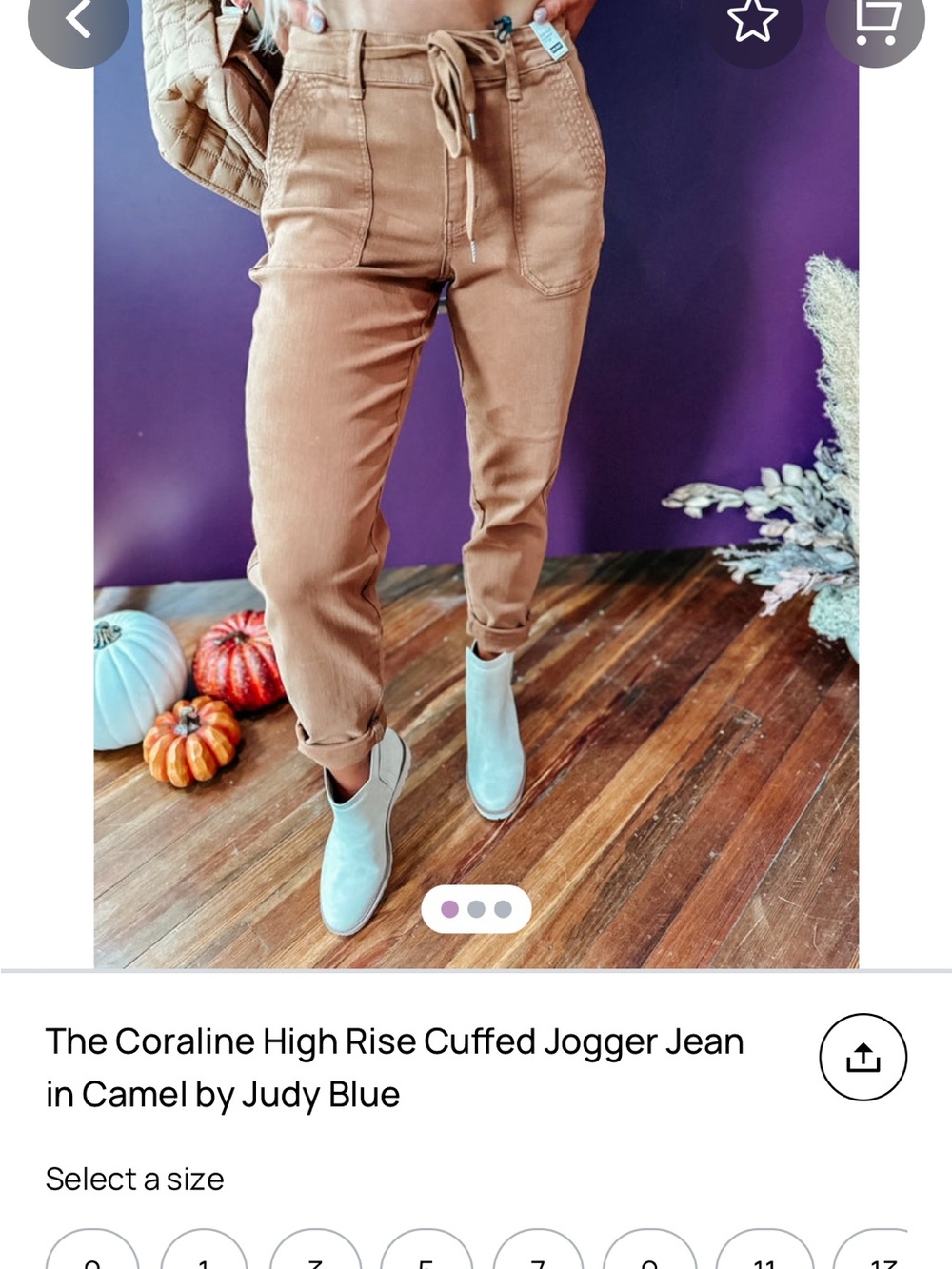 Rust Brown Drawstring Waist Casual Pants